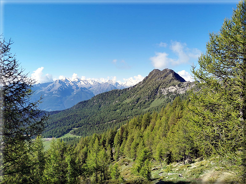 foto Anticima del Monte Meabe